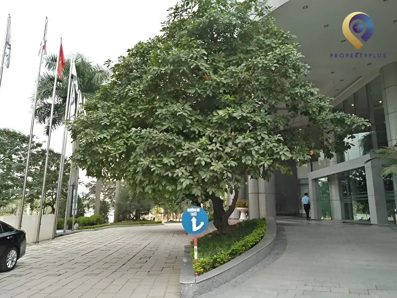 Viglacera Tower