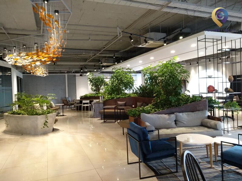 Y-Nest Coworking Space