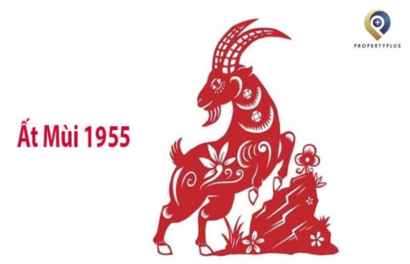 1955 hợp hướng nào
