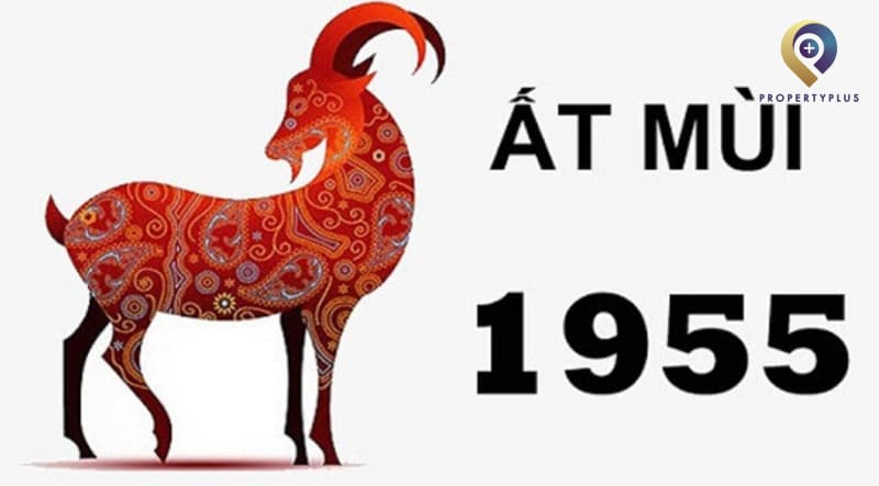 1955 hợp hướng nào