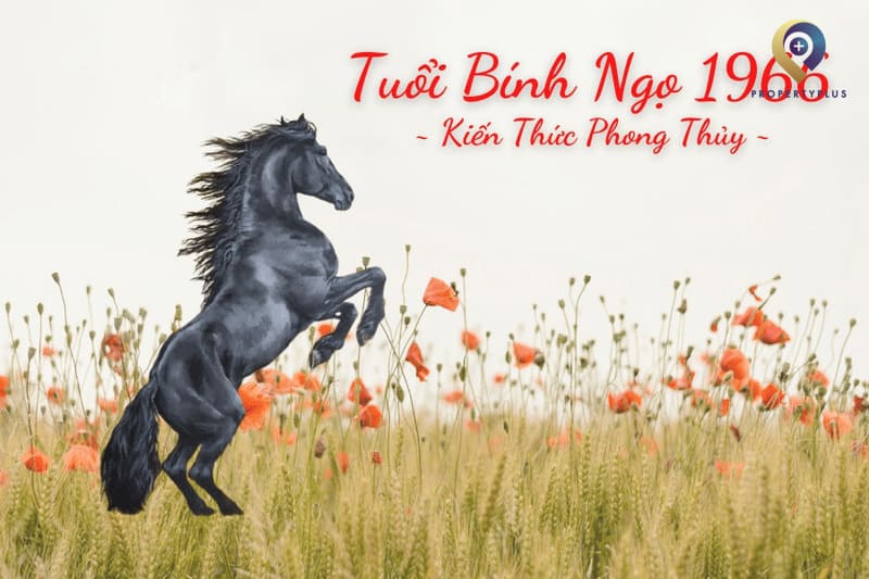 tuổi bính ngọ hợp hướng nào