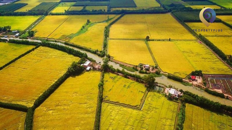Cách đo diện tích đất