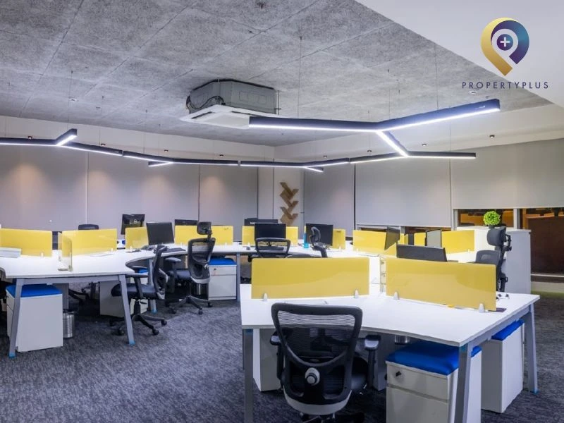 Chiều cao trần văn phòng bao nhiêu Chiều cao trần văn phòng bao nhiêu