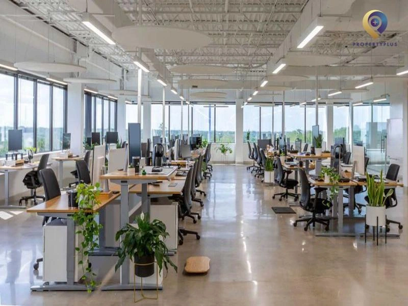 Quy trình thuê văn phòng 1500m2 từ A-Z Quy trình thuê văn phòng 1500m2 từ A-Z