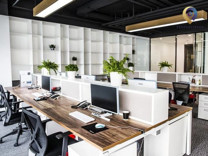 Propertyplus.vn - Đơn vị cho thuê văn phòng 200m2 quận Tây Hồ uy tín