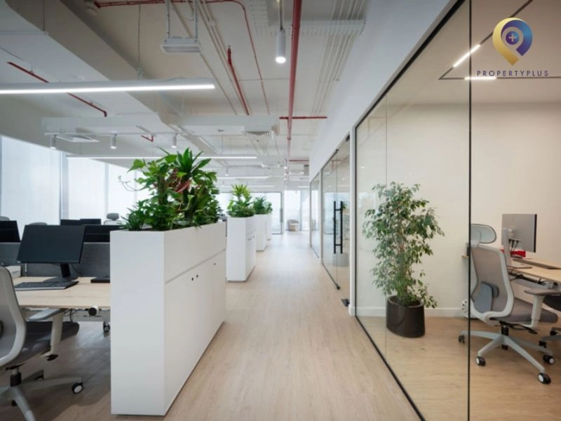 Quy trình thuê văn phòng 500m2 chuyên nghiệp cùng Propertyplus.vn