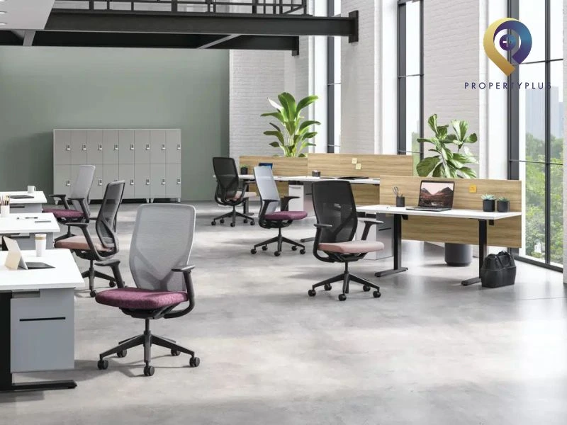 Property Plus cung cấp giải pháp văn phòng làm việc chuyên nghiệp có sẵn nội thất Property Plus cung cấp giải pháp văn phòng làm việc chuyên nghiệp có sẵn nội thất