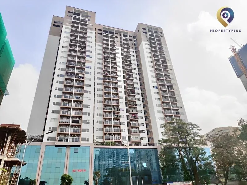 Thanh Xuân Complex cung cấp mặt sàn văn phòng giá rẻ Thanh Xuân Complex cung cấp mặt sàn văn phòng giá rẻ