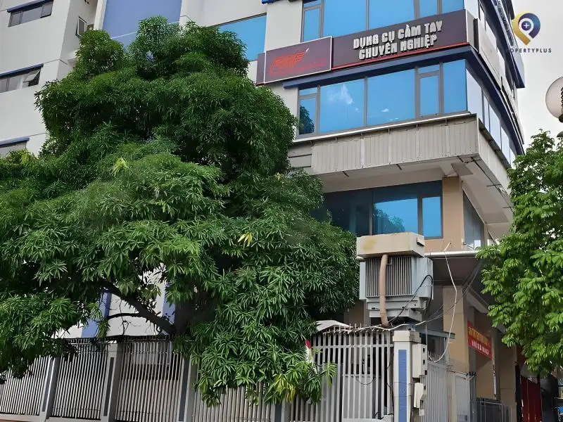 cho thuê văn phòng giá rẻ quận Đống Đa 