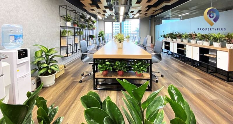 Hanoi Office Trần Phú