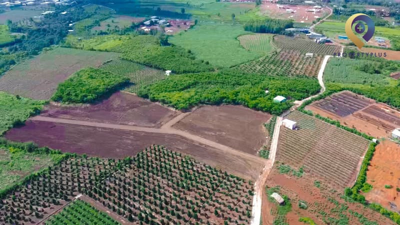 Đất 50 năm có thể được cấp sổ đỏ