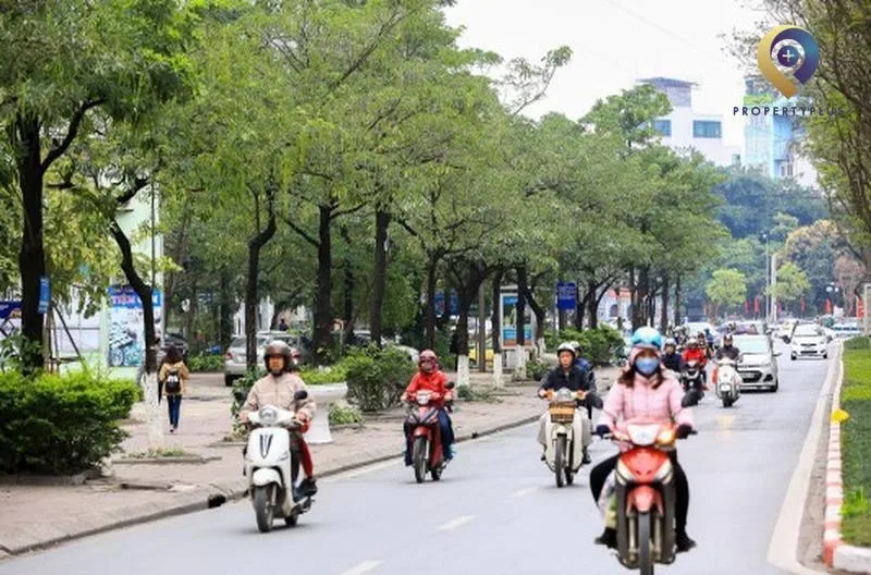 dịch vọng cầu giấy