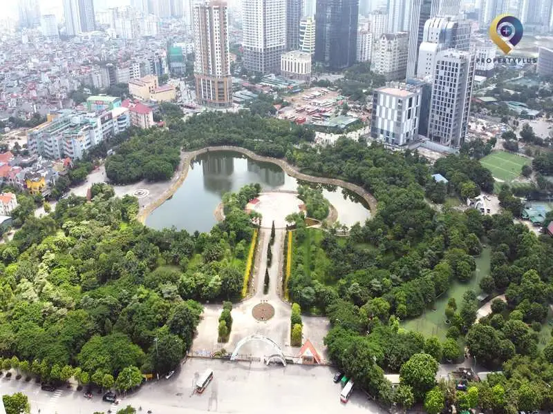 dịch vọng hậu cầu giấy