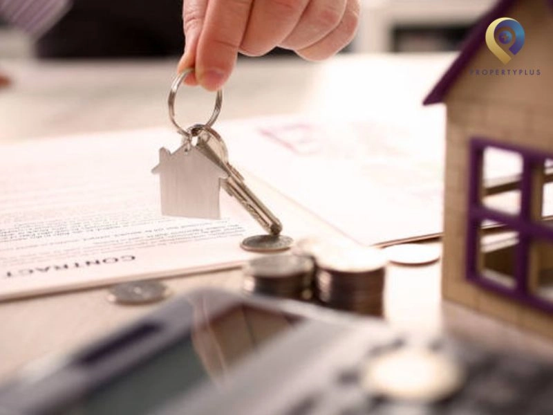 Điều khoản bàn giao và thi công