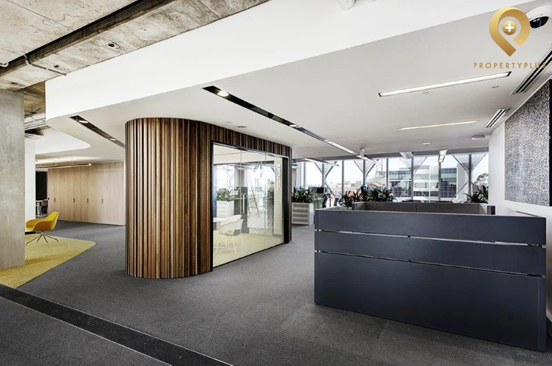 head office là gì