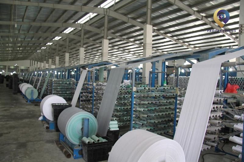 khởi nghiệp ở tuổi 30