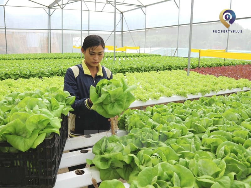 khởi nghiệp tuổi 40