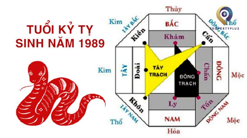 Tuổi Kỷ Tỵ Hợp Hướng Nào