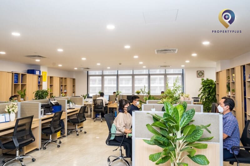 Lỗi Cần Tránh Khi Thuê Văn Phòng