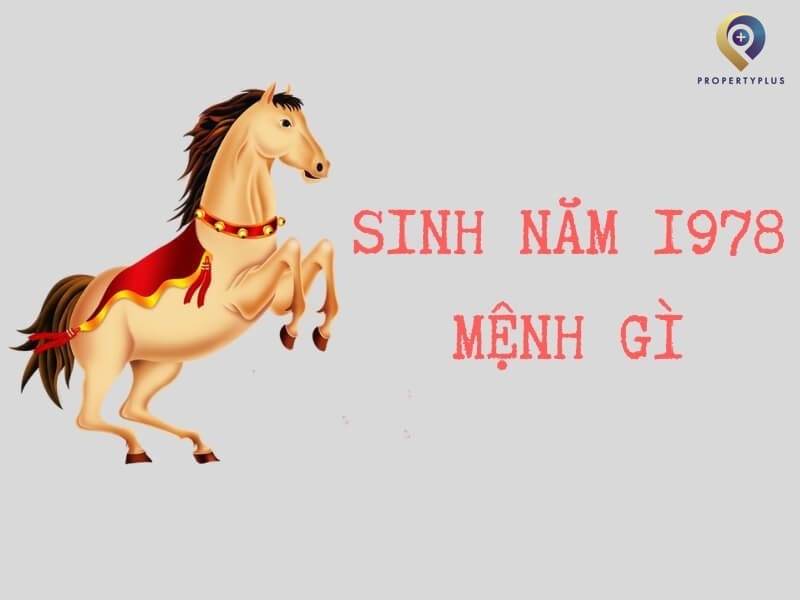 1978 hợp hướng nào