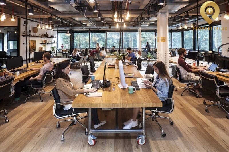 diện tích net là gì