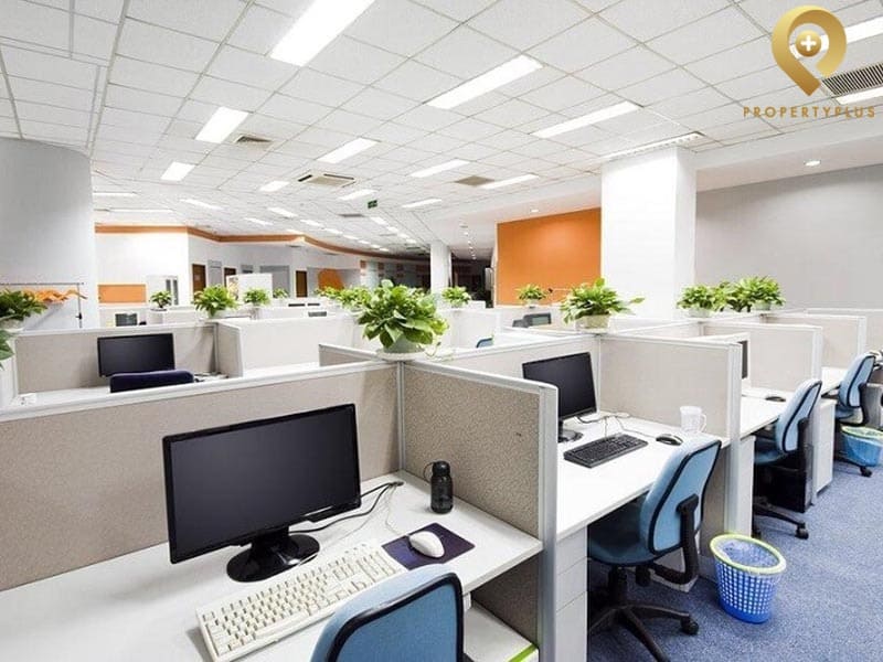 diện tích net