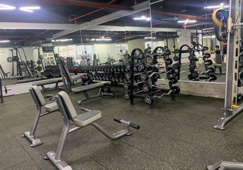 Apex Fitness & Yoga 