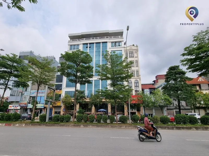 phường mai dịch