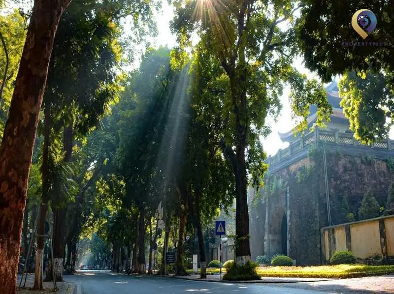 Phường Quán Thánh