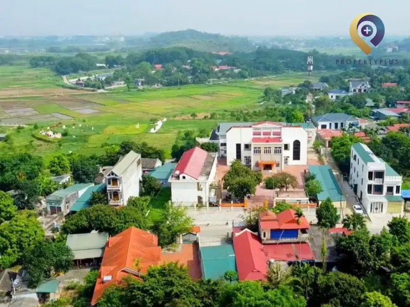 phường Tùng Thiện phường Tùng Thiện