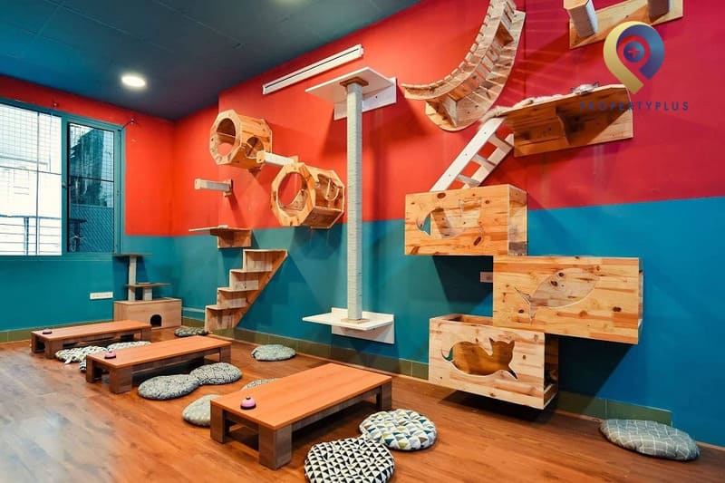 Pet Island - Cafe mèo Hà Nội