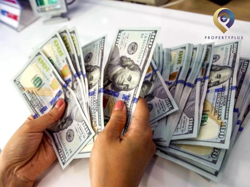 Tại sao cần quy đổi tỷ giá USD khi thuê văn phòng Tại sao cần quy đổi tỷ giá USD khi thuê văn phòng