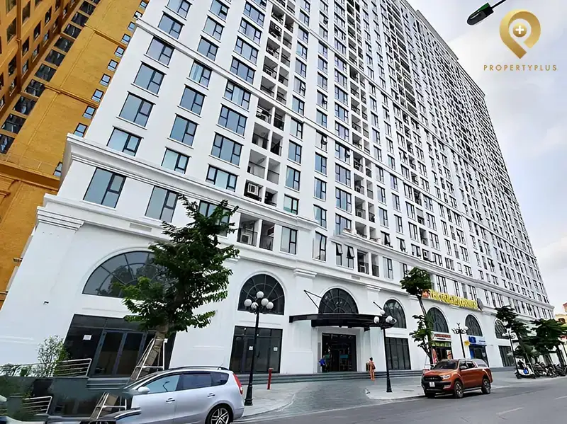 Property Plus – Đơn vị tư vấn thuê văn phòng chuyên nghiệp và minh bạch Property Plus – Đơn vị tư vấn thuê văn phòng chuyên nghiệp và minh bạch