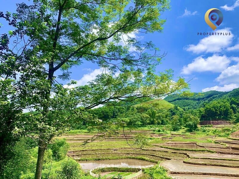 thế đất phong thủy