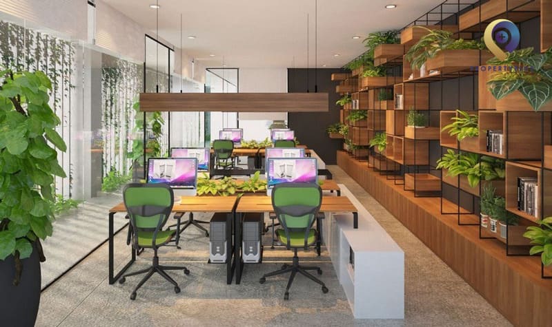 Thiết kế văn phòng 40m2 phong cách xanh