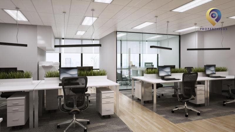 Thiết kế văn phòng 40m2 vách kính