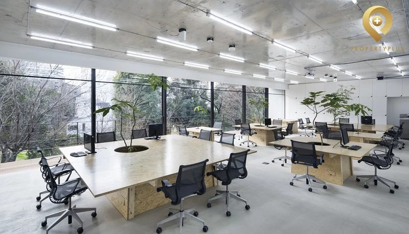 thiết kế văn phòng 50m2