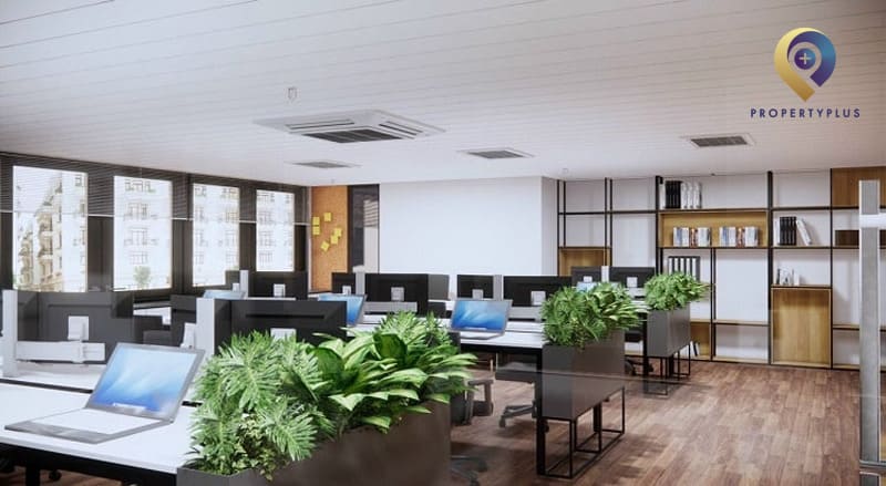 văn phòng 60m2 phong cách xanh
