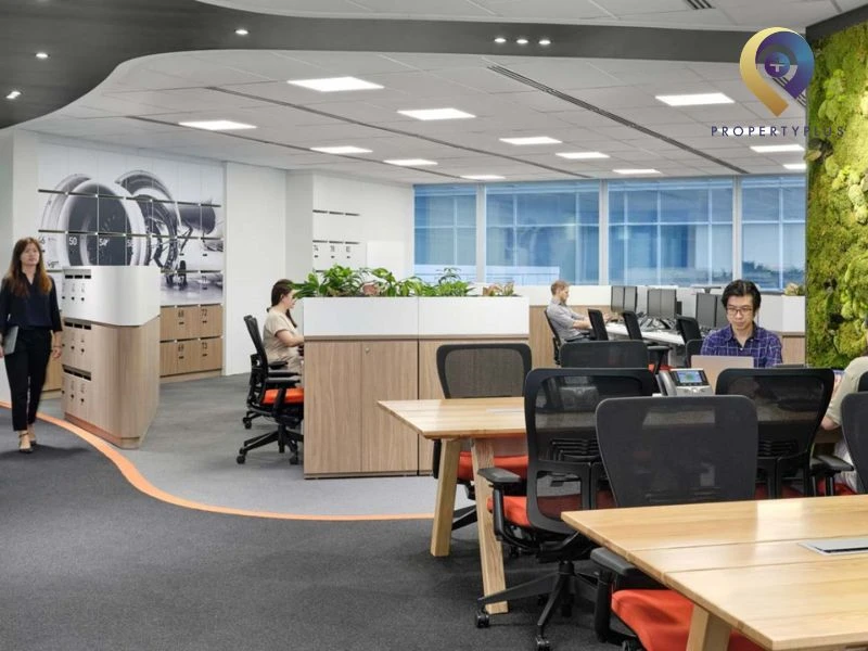 Propertyplus.vn dịch vụ tư vấn và cho thuê văn phòng trọn gói chuyên nghiệp&nbsp;
