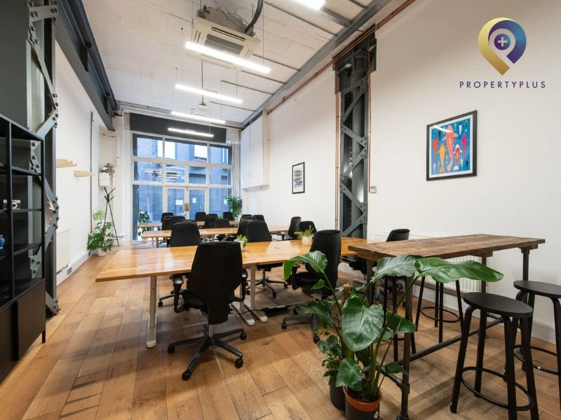 Vị trí và môi trường xung quanh