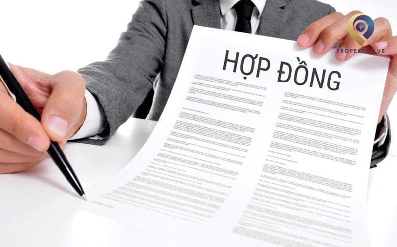 hợp đồng cho thuê văn phòng ngắn hạn