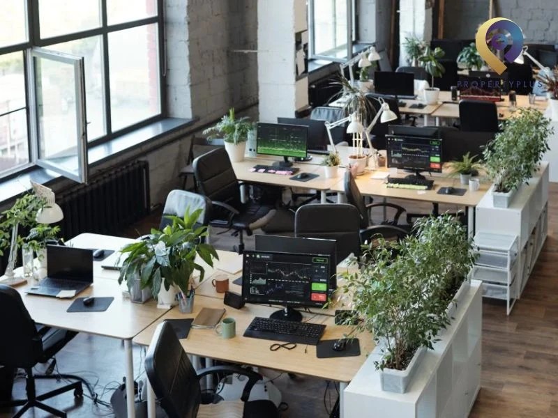 Tiêu chí về đơn vị quản lý và vận hành