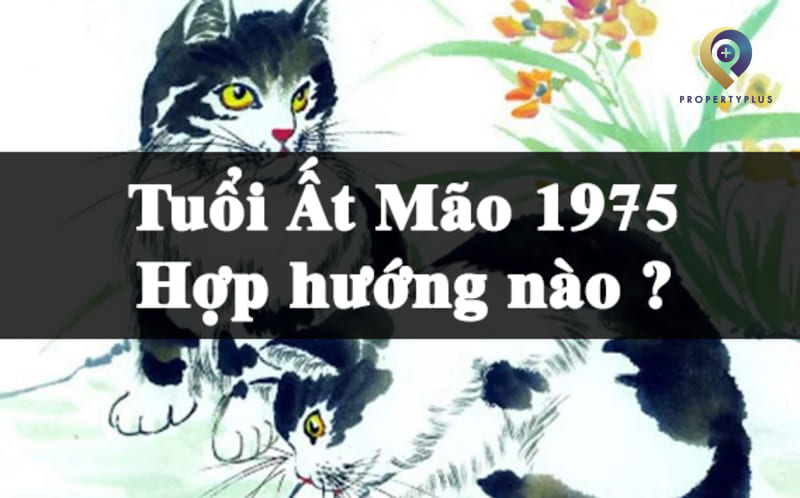 Tuổi Ất Mão 1975 Hợp Hướng Nào