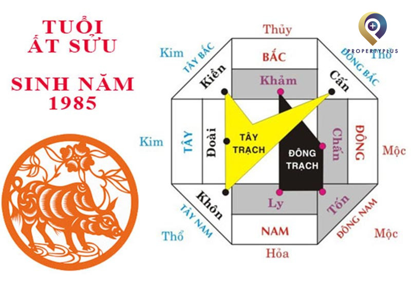 Phong Thủy Tuổi Ất Sửu 1985 Hợp Hướng Nào Phú Quý