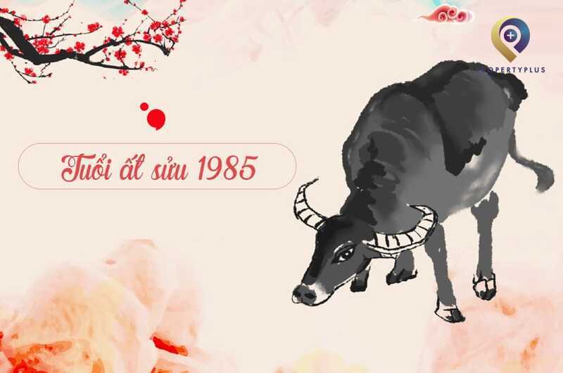 Tuổi Ất Sửu 1985 Hợp Hướng Nào