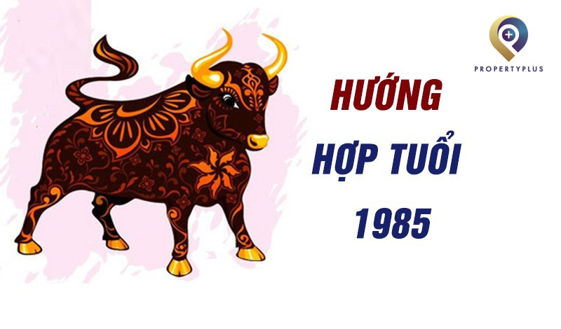 phong thủy 1985 hợp hướng nào