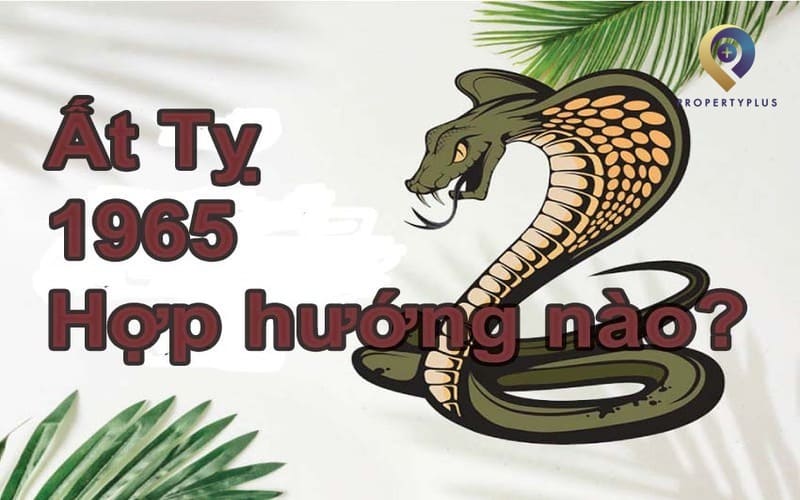 phong thủy tuổi 1965