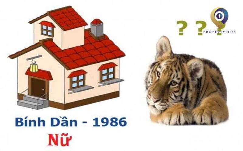 1986 hợp hướng nào