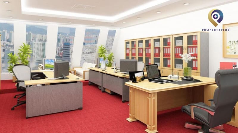 tuổi 2000 hợp hướng nào