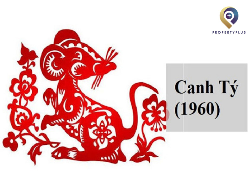 Phong Thủy Tuổi Canh Tý 1960 Hợp Hướng